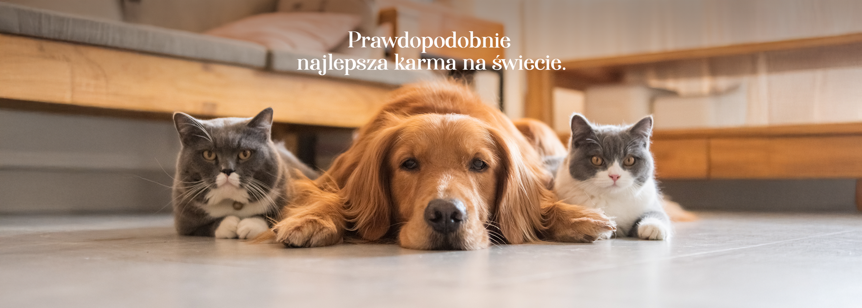 zdjęcie przedstawiające dr malou prawdopodobnie najlepsza karma na świecie