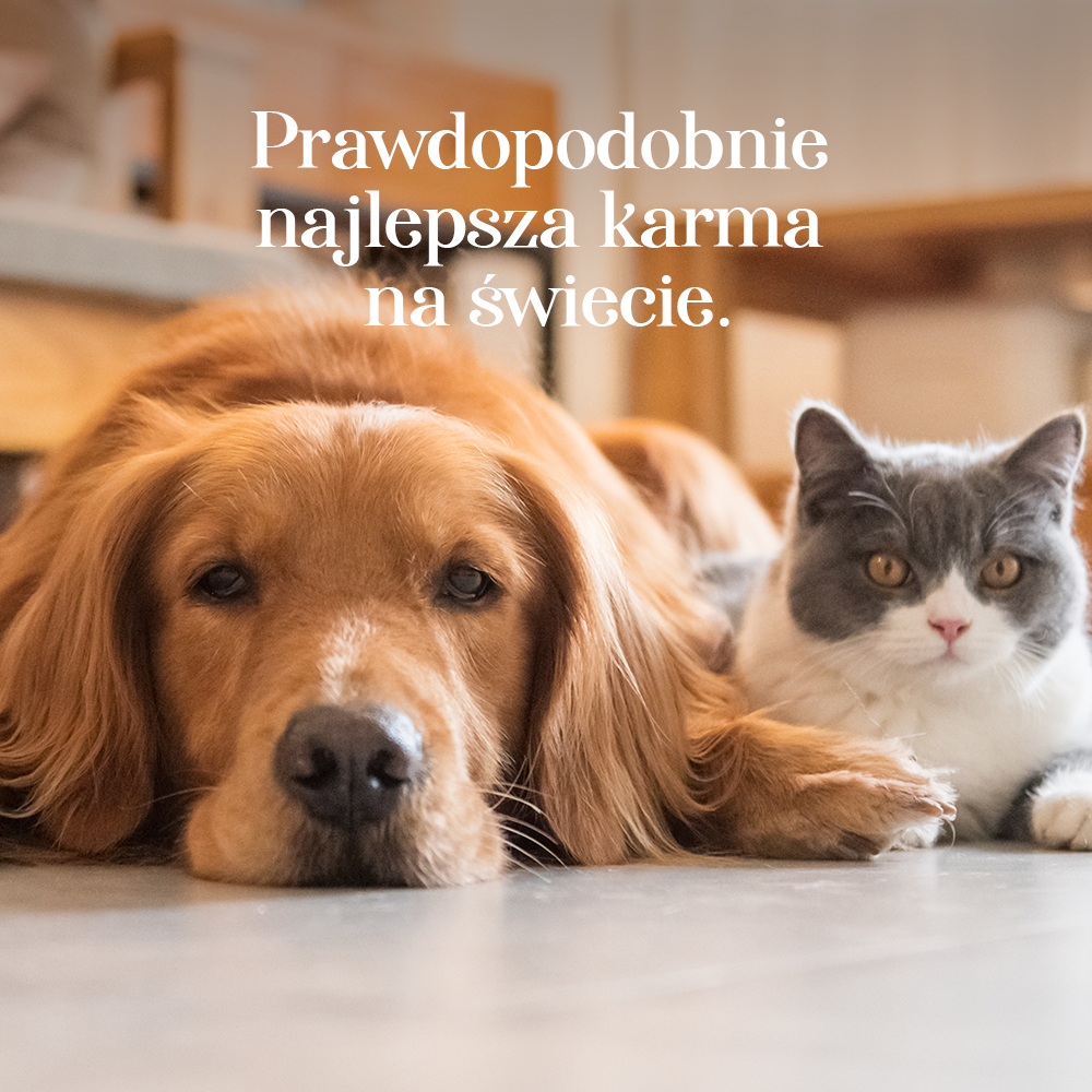 zdjęcie przedstawiające dr malou prawdopodobnie najlepsza karma na świecie