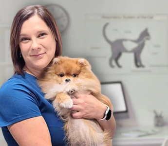 Bezpłatne porady dietetyczne w Dr Malou – zadbaj o zdrowie swojego pupila!