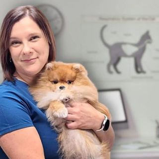 Bezpłatne porady dietetyczne w Dr Malou – zadbaj o zdrowie swojego pupila!