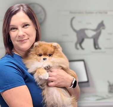 Bezpłatne porady dietetyczne w Dr Malou – zadbaj o zdrowie swojego pupila!