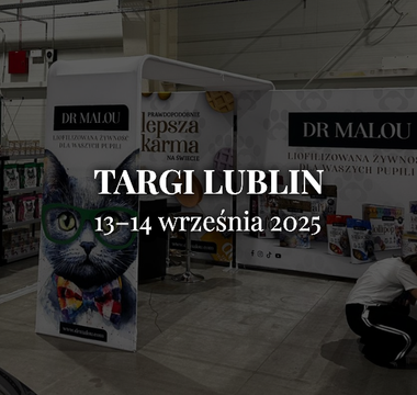 Światowa wystawa Kotów Rasowych w Lublinie - International Cat Club IBSCC (13–14 września 2025)