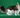 Maine Coon – królewski olbrzym o łagodnym sercu