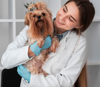 Jak liofilizowana karma Dr Malou wspiera zdrowie psa i kota?