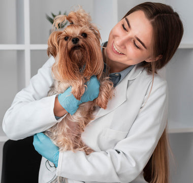 Jak liofilizowana karma Dr Malou wspiera zdrowie psa i kota?