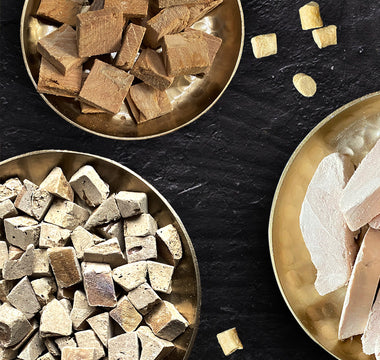 Liofilizowana vs. zwykła karma – dlaczego Dr Malou wygrywa?