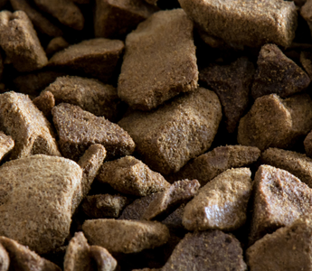 Liofilizacja – sekret zdrowia Twojego pupila