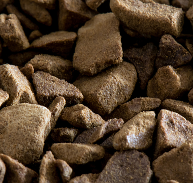 Liofilizacja – sekret zdrowia Twojego pupila