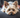Yorkshire Terrier – elegancki dżentelmen z sercem odważnego łowcy