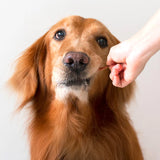 277072001b767e7c7c63d8b1dcd98c51