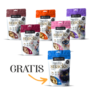 5 + 1 gratis smaczki dla Kota