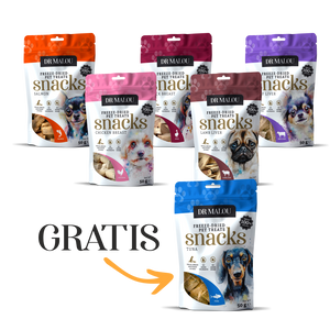 5 + 1 Leckerli gratis für Ihren Hund – Dr Malou