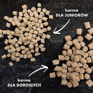 Kurczak z mlekiem kozim i żółtkiem – Liofilizowana karma pełnoporcjowa dla kociąt do 12 miesiąca życia - 10g próbka