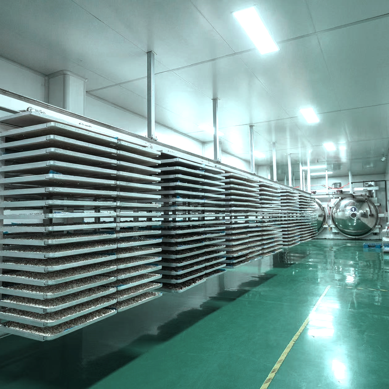 Liofilizacja a ekstrudacja – porównanie procesów i efektów w misce