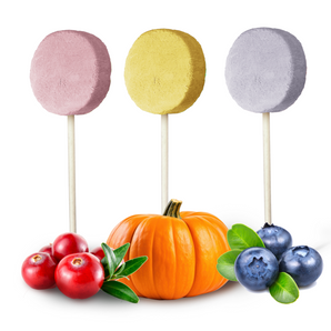 Liofilizowane lizaki mięsne dla psów – mix smaków (Lollipop – Mixed Flavor)