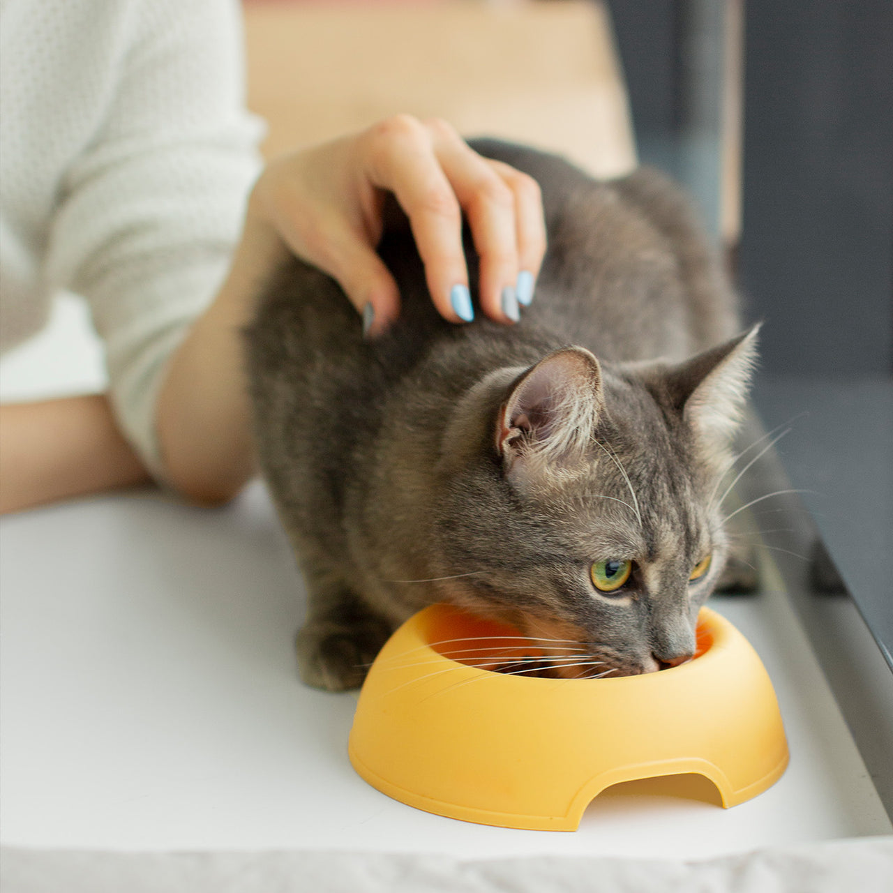 Świadomi opiekunowie i zdrowy styl życia — marka Dr Malou