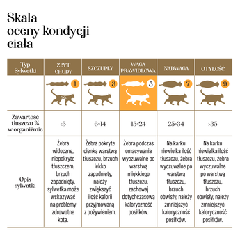 Zdjęcie przedstawiające Liofilizowana wątroba wołowa dla kotów