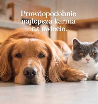 zdjęcie przedstawiające dr malou prawdopodobnie najlepsza karma na świecie